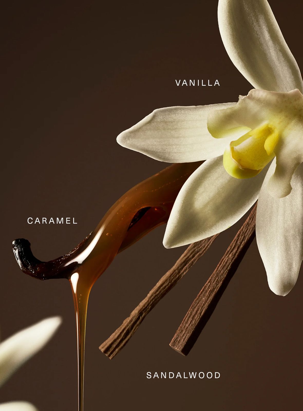 Rare Beauty Eau de Parfum Travel Spray